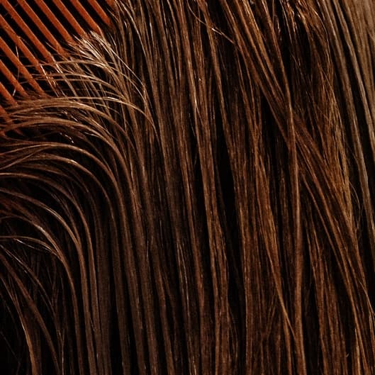 Silky Deluxe at Cornucopia Hair Atelier in Memphis, TN